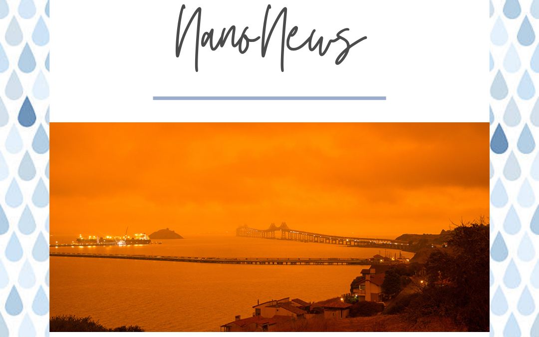 Eyes Suffering From The Canada Wildfires? Here’s How To Protect Your Eyes